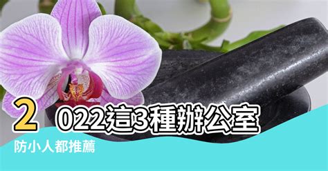 黛粉葉風水|黛粉葉招貴人妙法